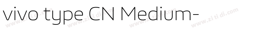 vivo type CN Medium字体转换 vivo type CN Medium字体转换